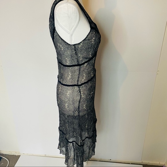 Alannah Hill Size 12 Sheer Midi Dress 100% SILK - Picture 6 of 13